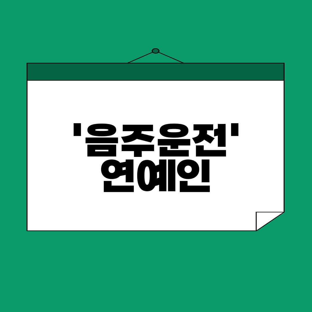 음주운전 연예인