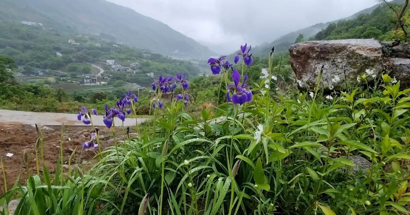 생방송오늘저녁 하동 지리산 화개장터 시련 끝에 산의 품에 안긴 자연인, 돌침대, 맷돌 커피, 수타 화로 국수, 민박집, 펜션