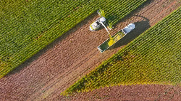 사료 곡물 관련주