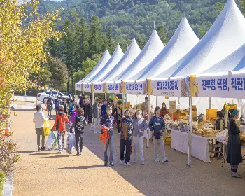 인제 가을꽃축제_19