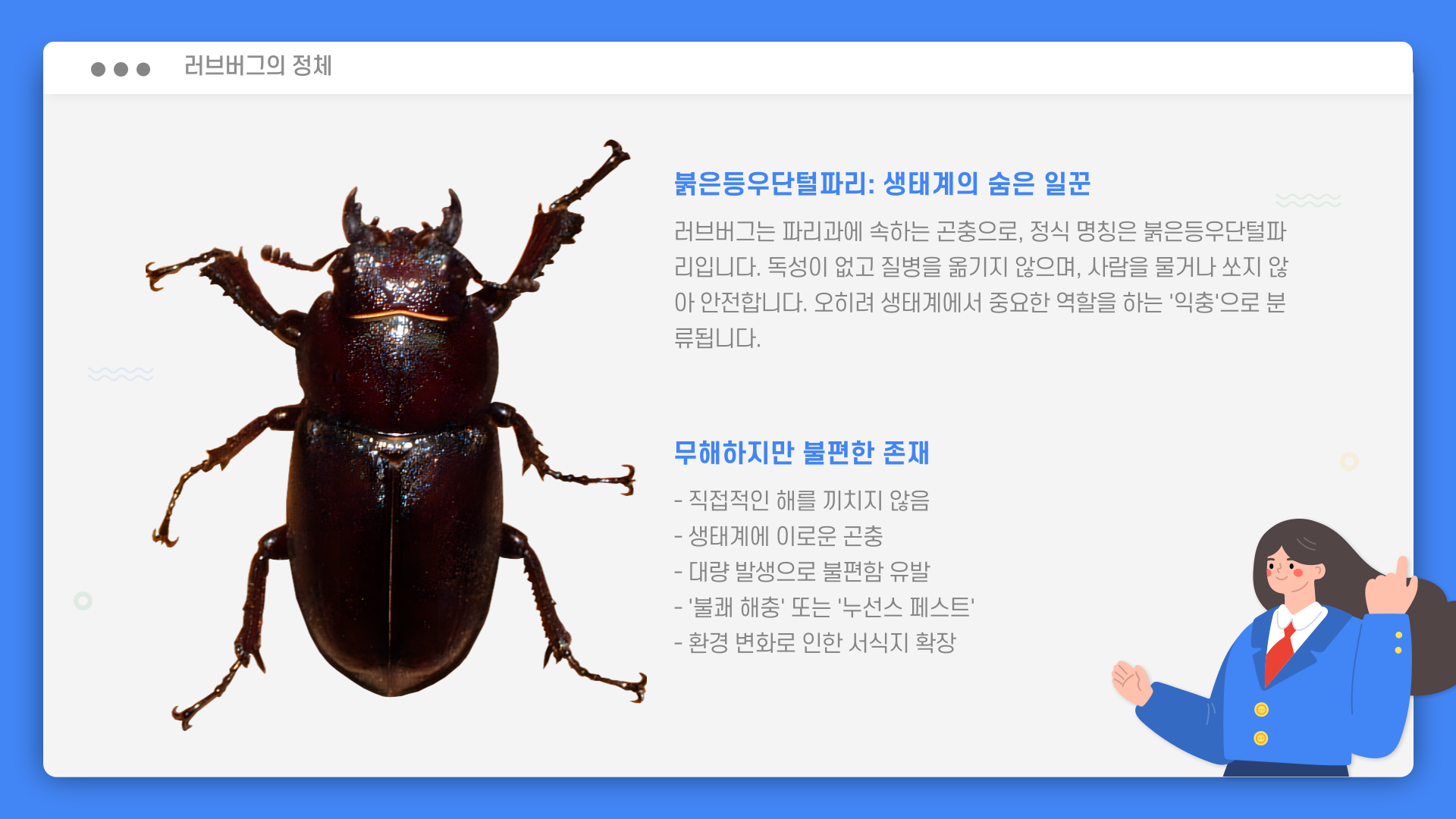 러브버그-사진