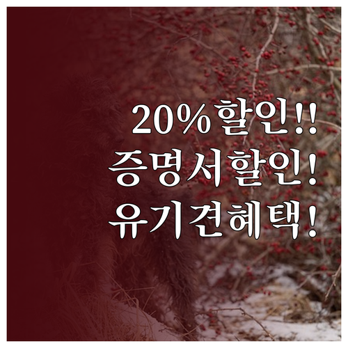 유기견 입양 증명서로 펫보험료 최대 ..