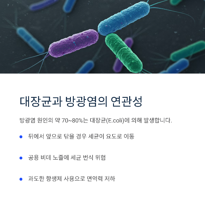 방광염 원인 대장균