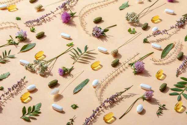 종합 영양제 추천