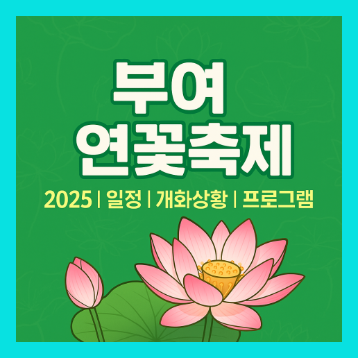 부여 연꽃축제 총정리