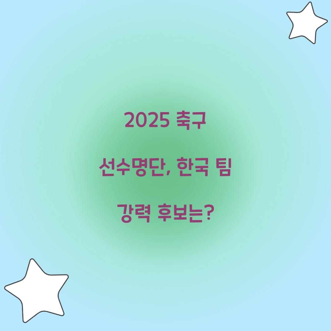 2025 축구 선수명단