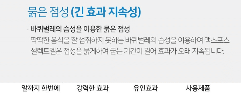 바퀴벌레 약(퇴치제) 추천 순위 TOP 5 - 네이버, 쿠팡, G마켓 판매량 비교