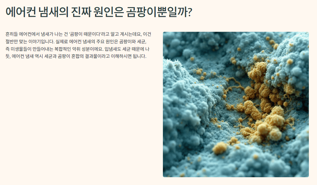 에어컨 곰팡이 셀프로 제거하는 방법