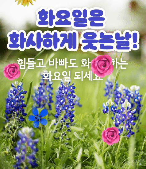 5. 화요일 인사말 13