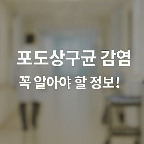 【포도상구균 감염 증상】포도상구균 종류,원인, 및 예방법 ❘ 황색포도상구균, 표피포도상구균, 독성 쇼크증후군