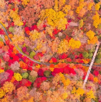 화담숲 예약 방법 모노레일 입장권