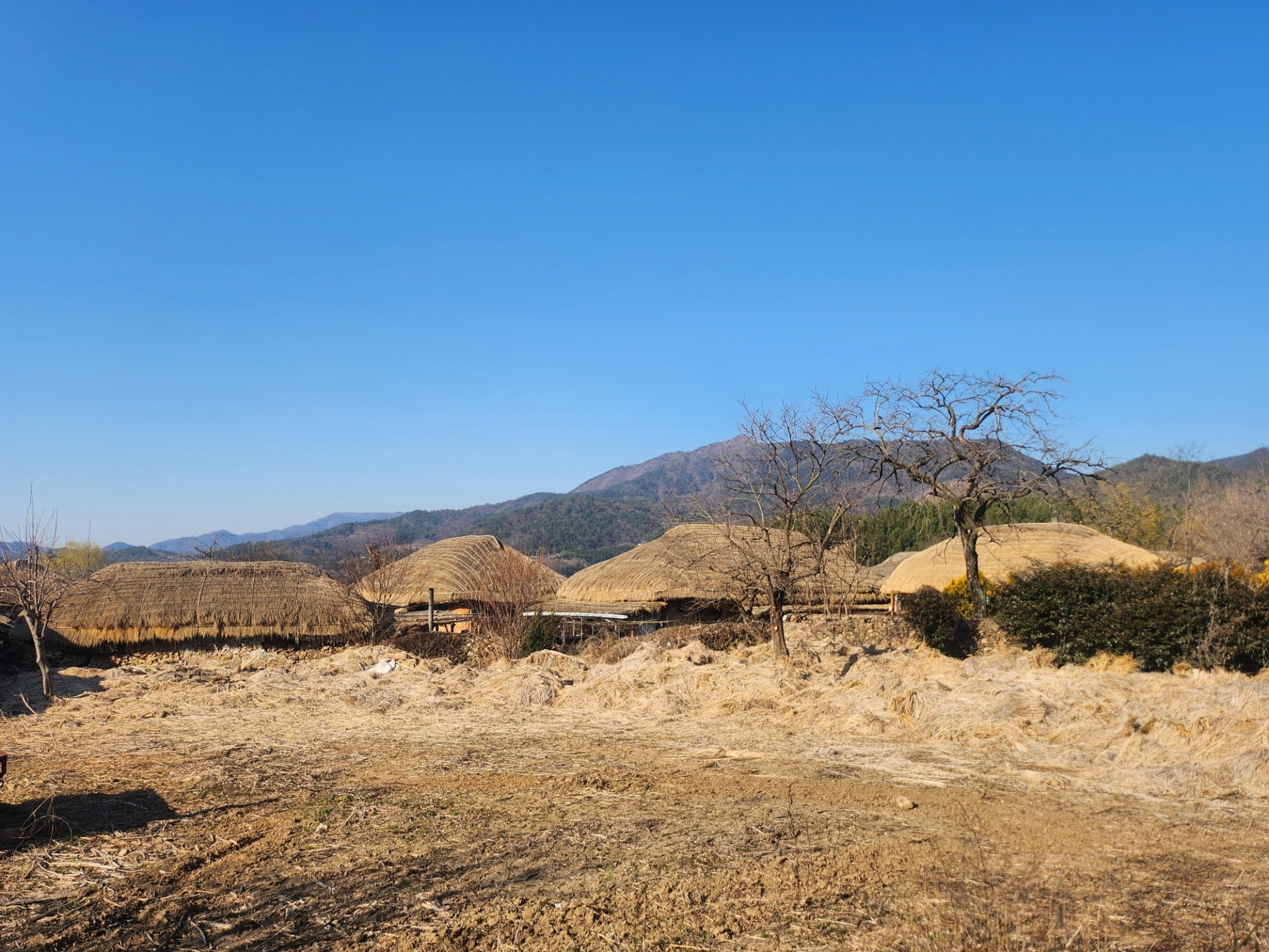 민속마을체험학습