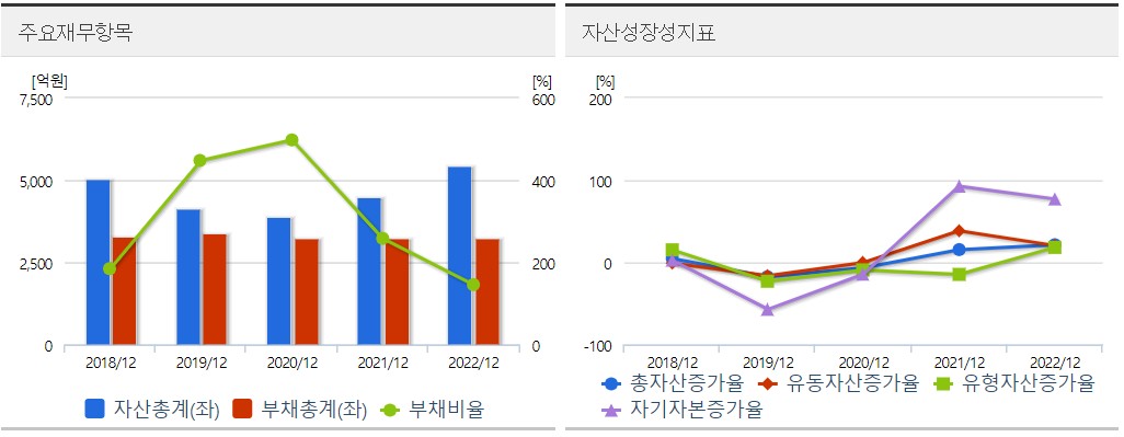 이수페타시스 재무분석표