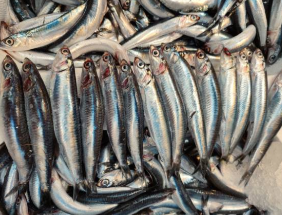 편스토랑-류수영