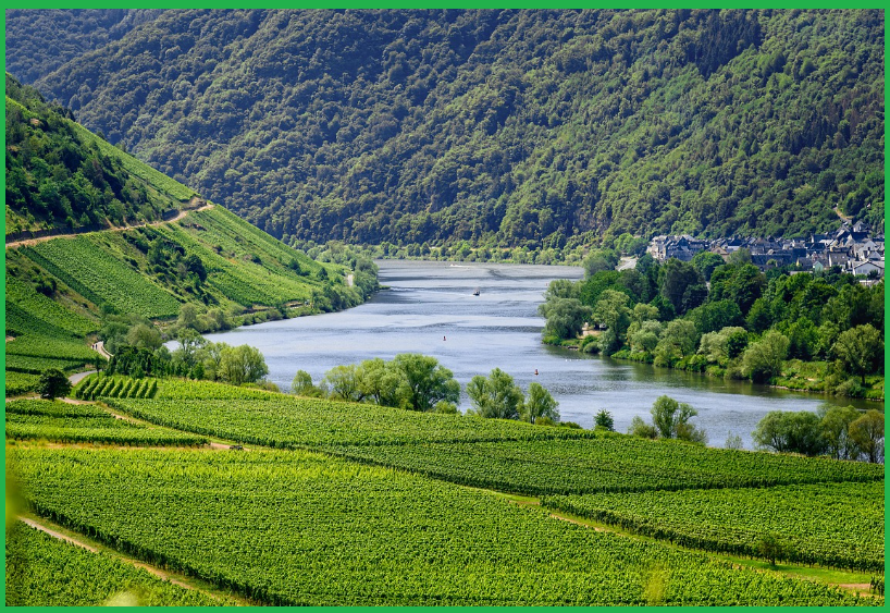 서울-벚꽃명소-즐길거리-추천