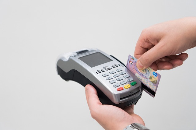 민생회복 소비쿠폰 롯데카드 관련 사진