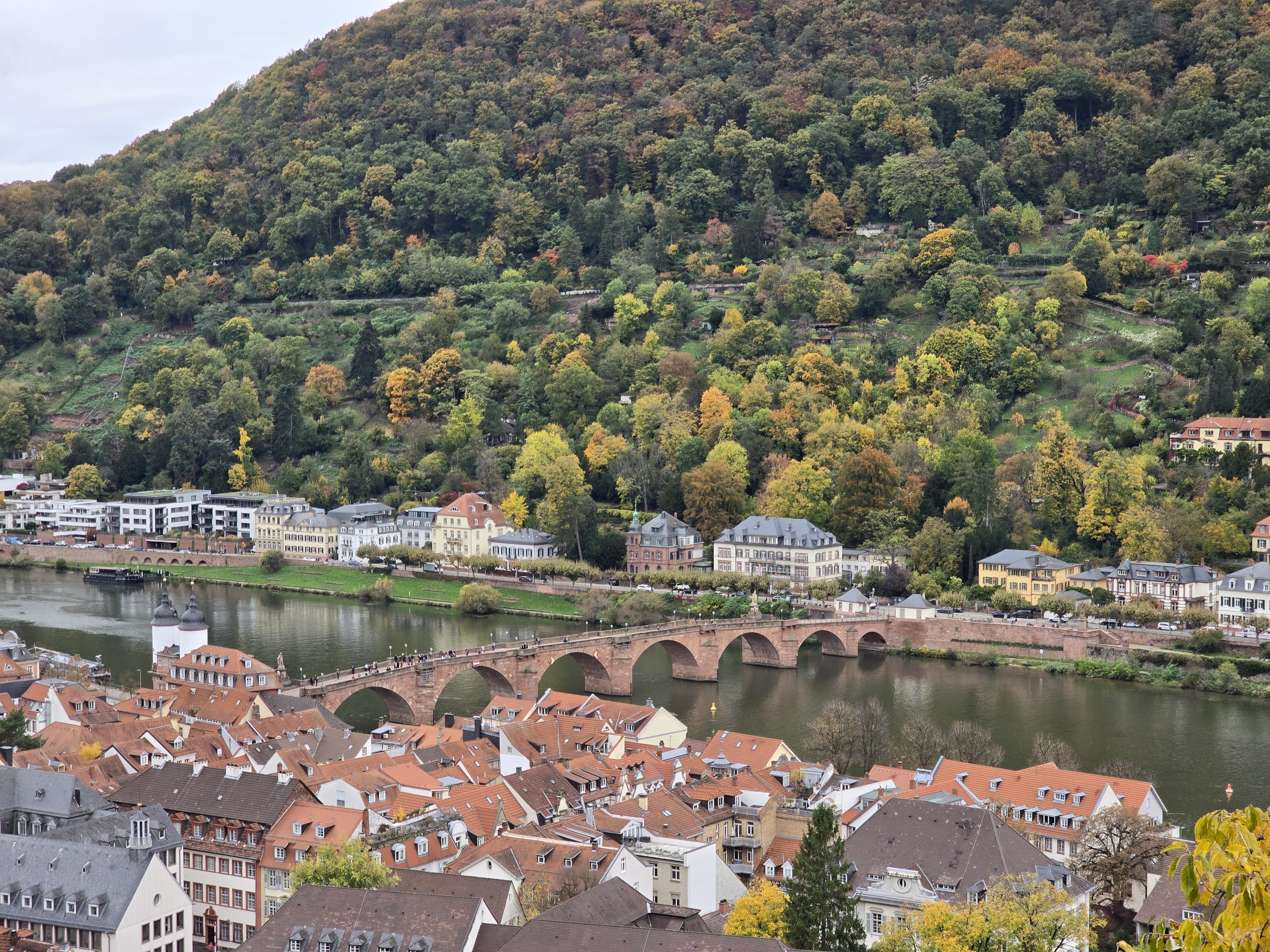 하이델베르크 성에서 전망