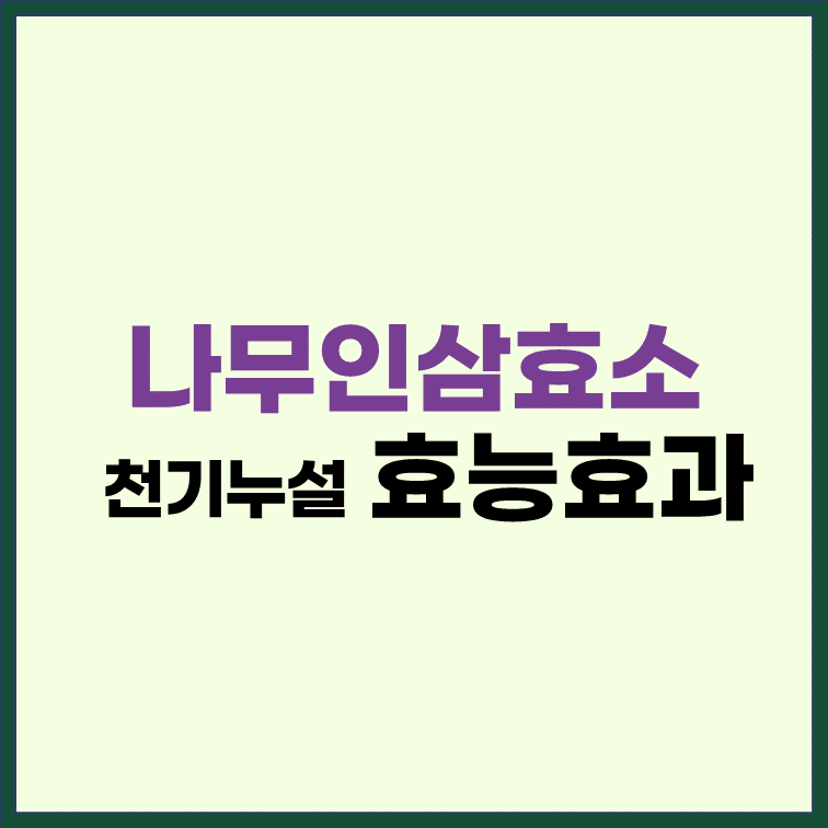 나무인삼효소-효능-효과-천기누설