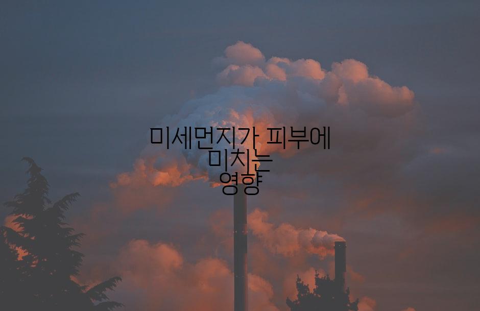 미세먼지가 피부에 미치는 영향