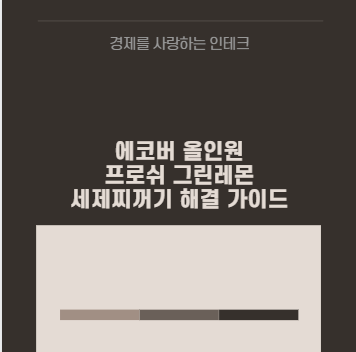 에코버 올인원 프로쉬 그린레몬 세제찌꺼기 해결 가이드