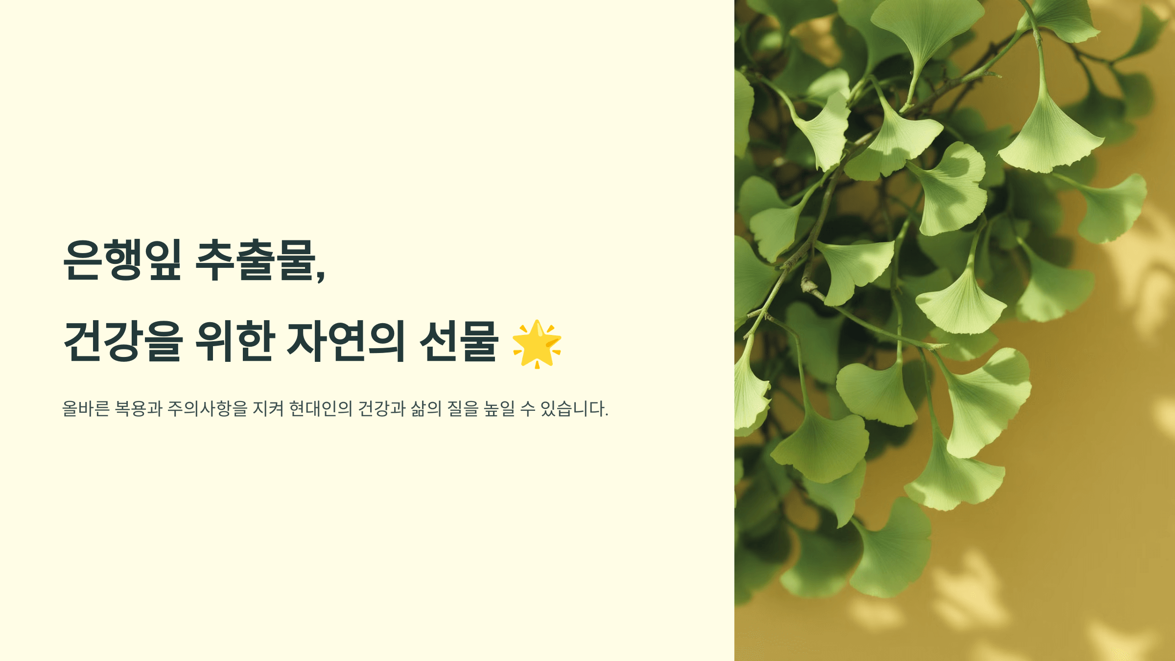 은행잎 사진입니다.