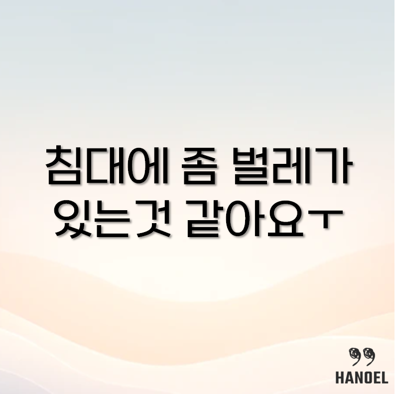 좀벌레