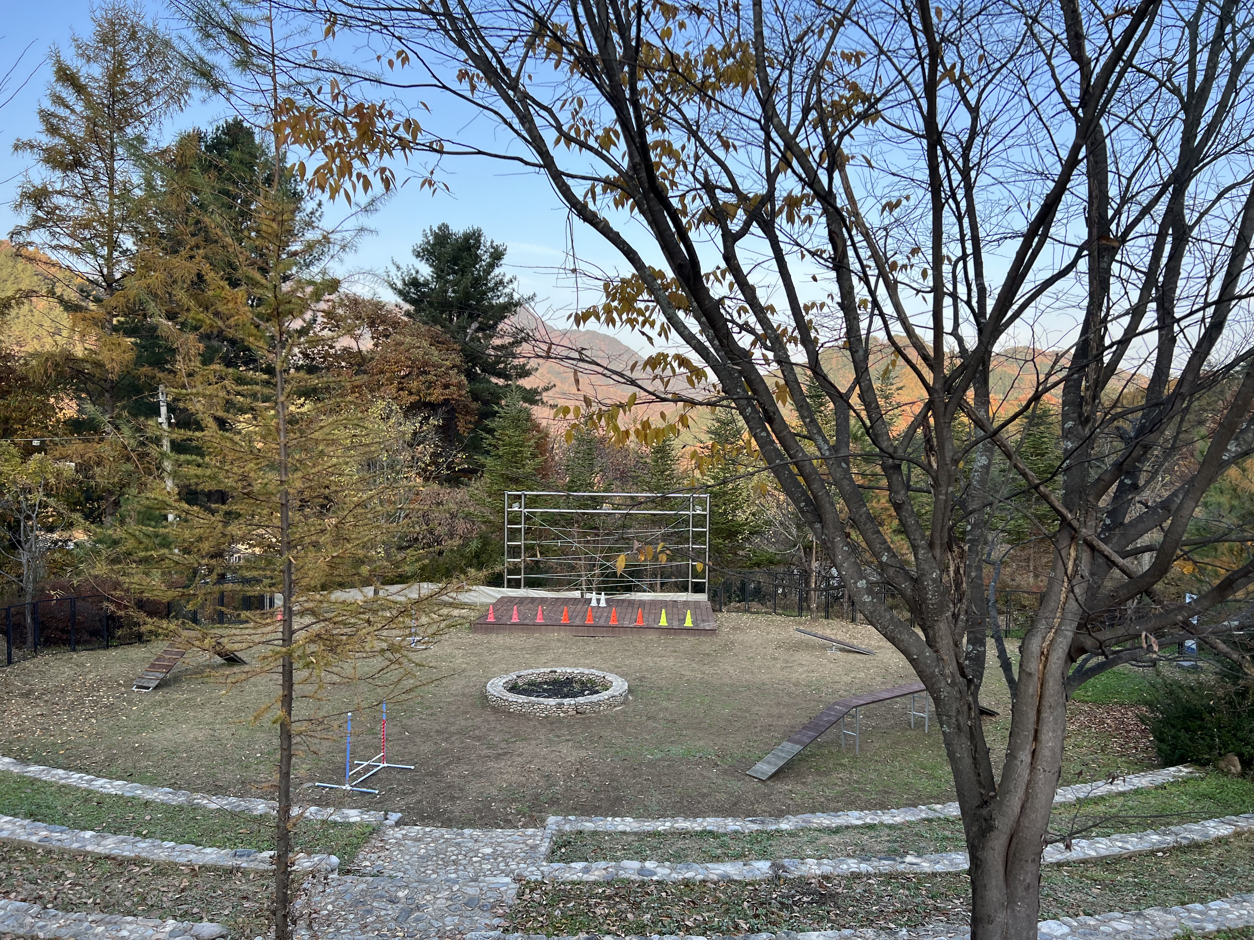 라이프위드 도그 캠핑장