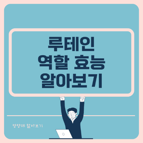 루테인 역할 효능 알아보기 썸네일
