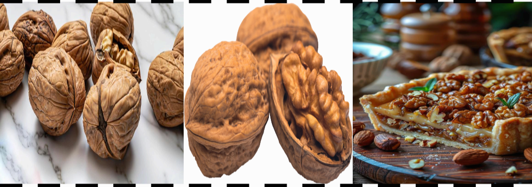 호두의 영양과 건강 효능