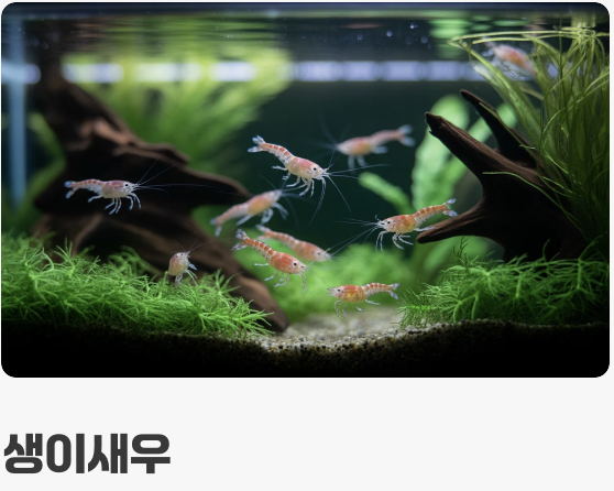 육식동물의 식사 시간 (먹이 가이드)