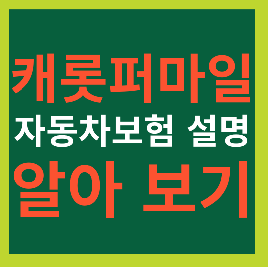 캐롯퍼마일 자동차보험 설명 알아보기