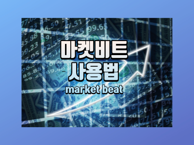 마켓비트