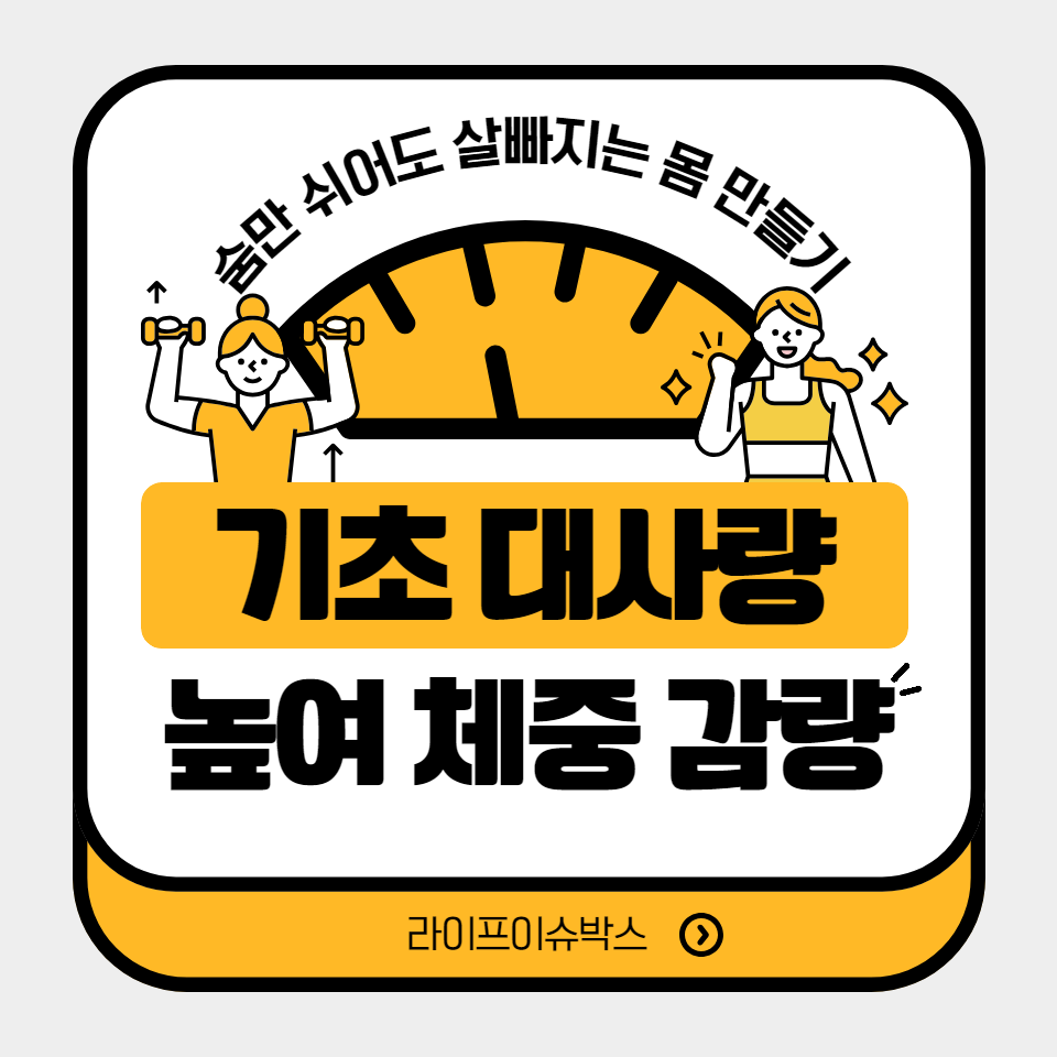 건강한 생활방식을 통해 신진대사를 증진시키고, 지속 가능한 체중 관리를 위한 실용적인 조언을 제공