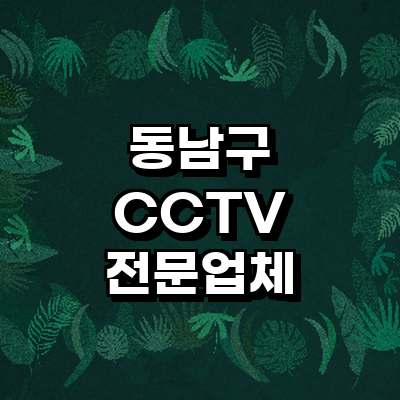 천안 동남구 cctv