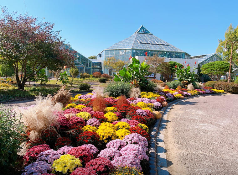 강원특별자치도립화목원2