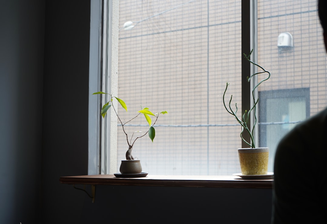 Plant.