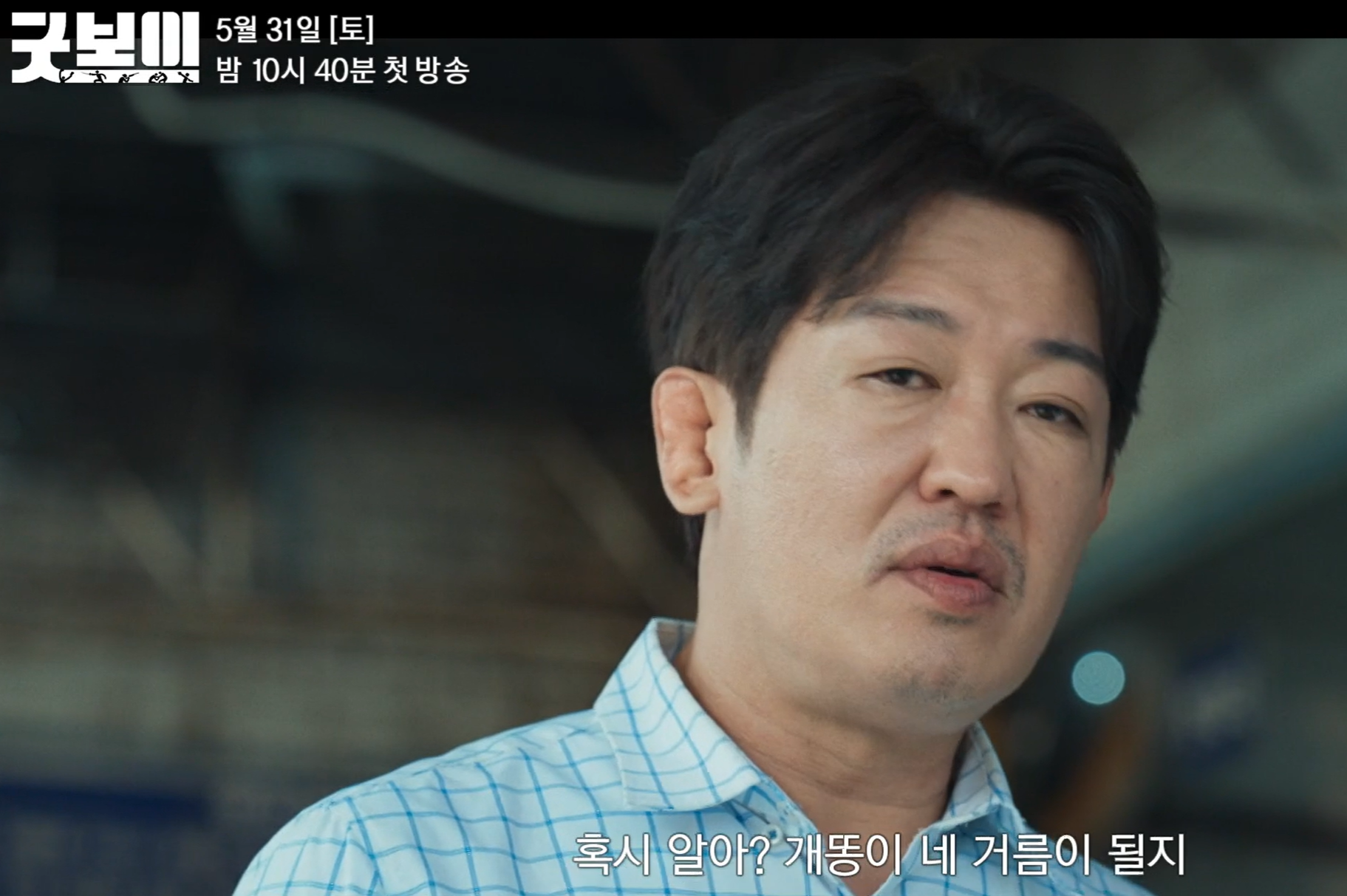 굿보이 출연진