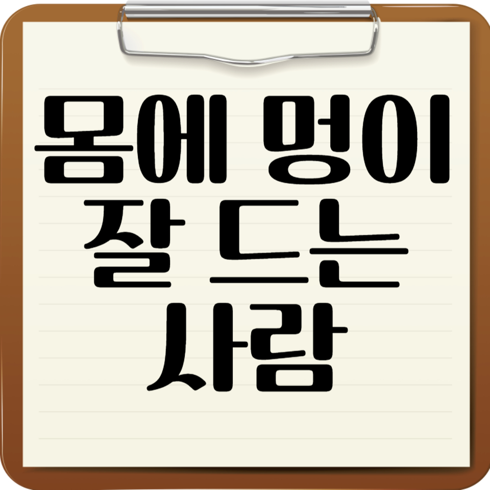 몸에 멍