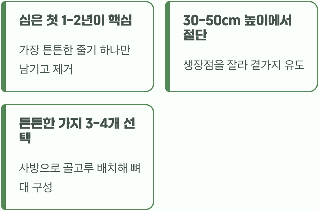 첫 가위질, 나무의 미래를 결정해요