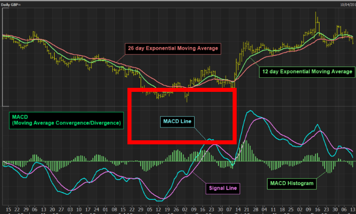 macd보조지표 보는법 알아보기