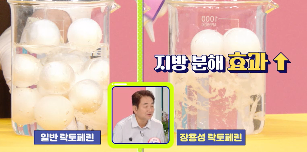 락토페린 효능