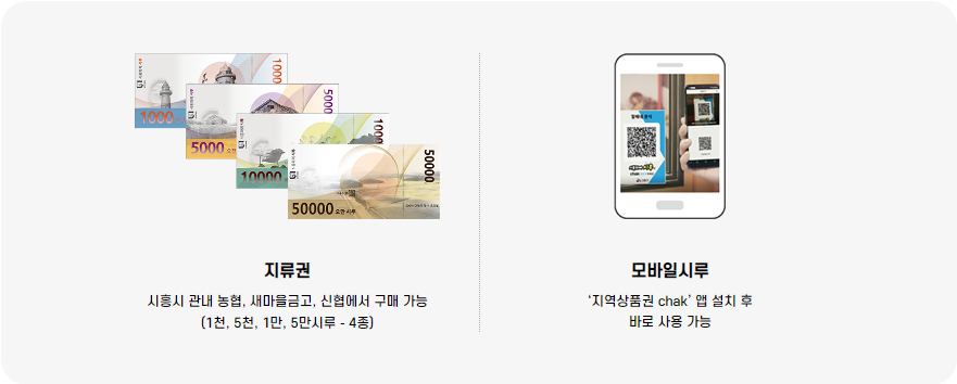 시흥화폐-시루-지폐종류