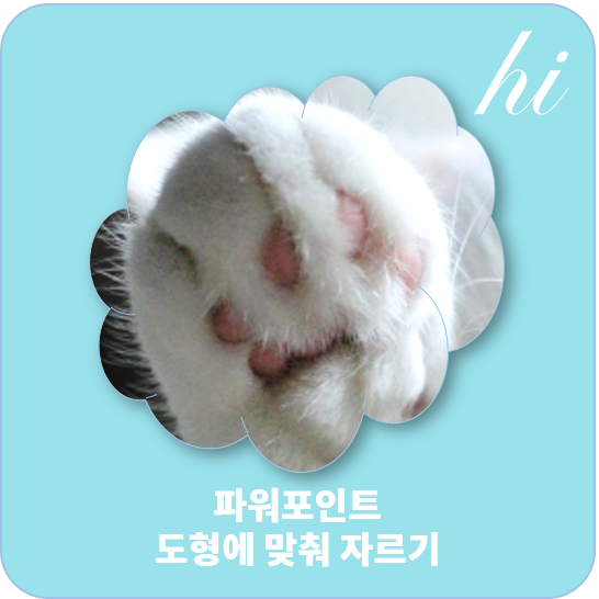 구름모양으로 자르기 응용