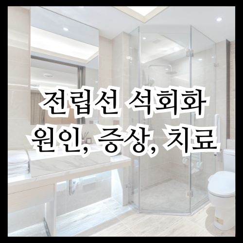 전립선 석회화 원인 증상 치료