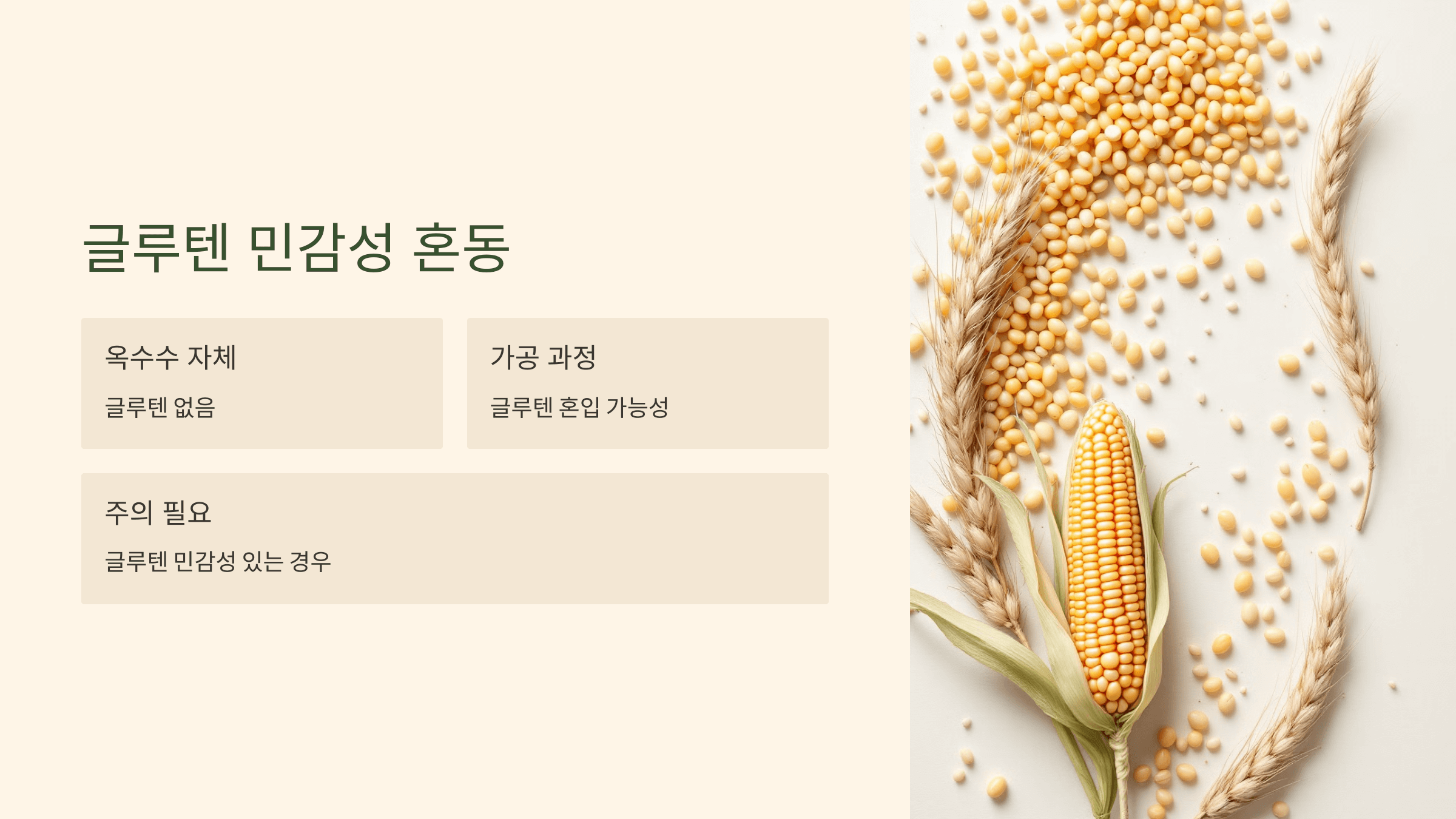 옥수수 사진입니다.