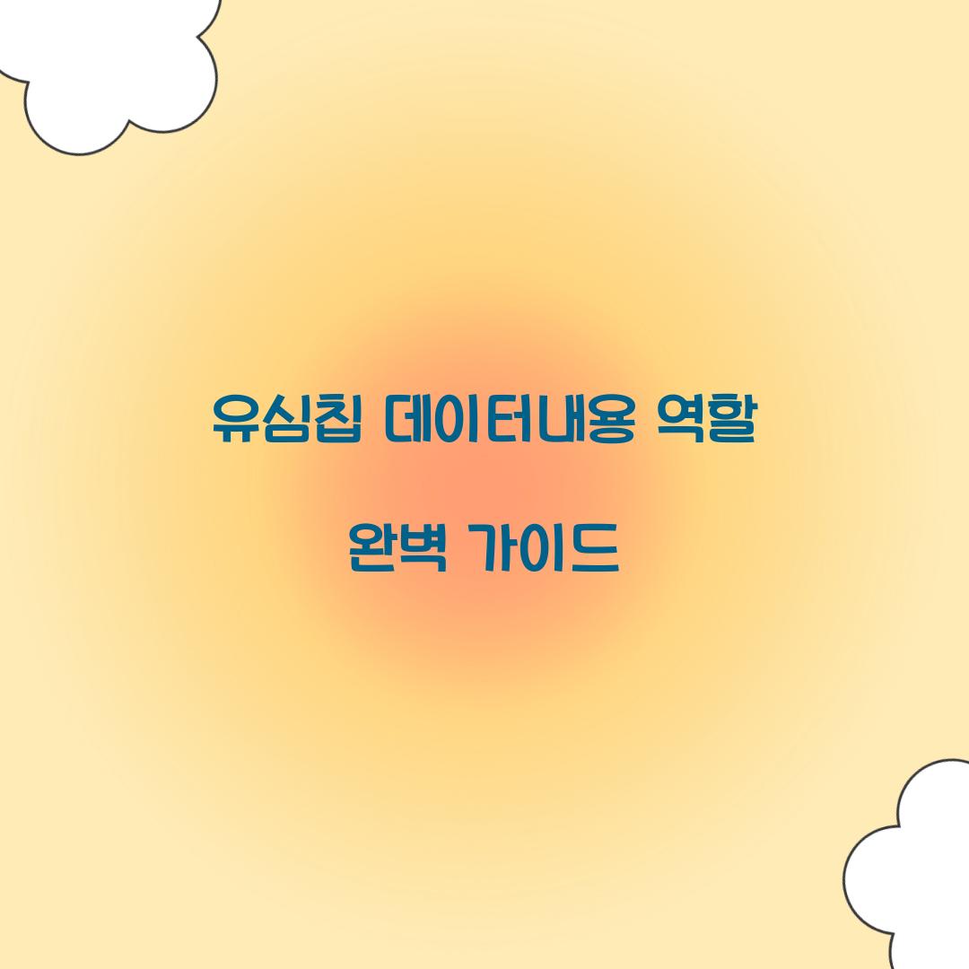 유심칩 데이터내용 역할