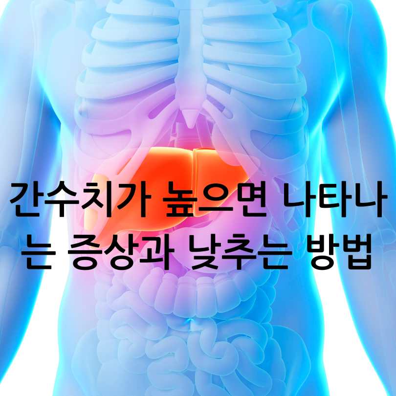간수치 높으면 나타나는 증상과 낮추는 방법
