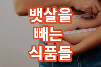 ‘뱃살’ 빼는 데 효과적인 식품들 한방에 정리하기