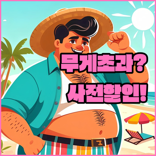뱀부 항공 수하물 무게 초과 대처법과..