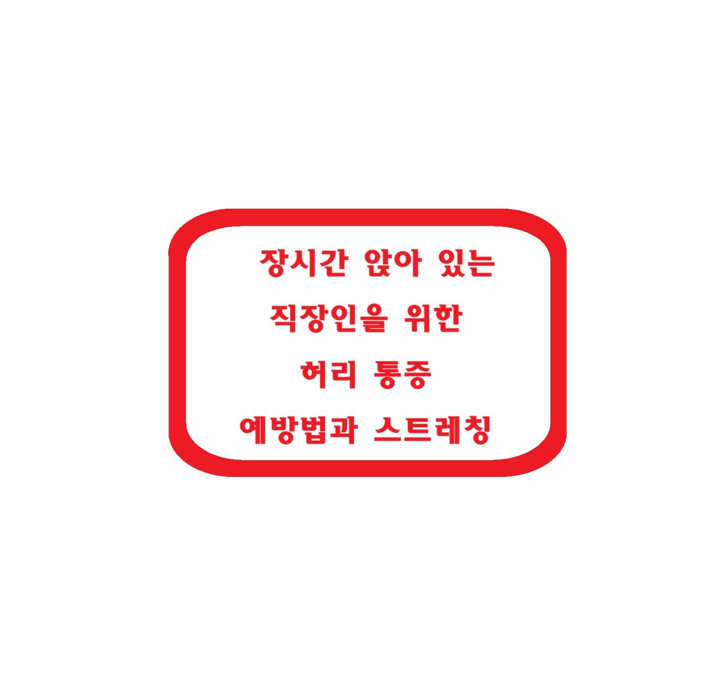 장시간 앉아 있는 직장인을 위한 허리 통증 예방법과 스트레칭